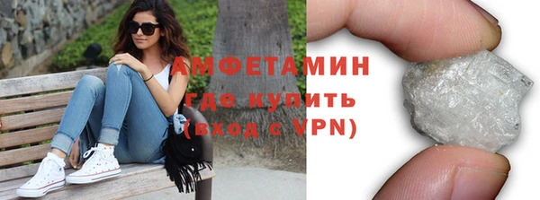 хмурый Верея