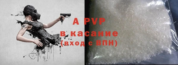 хмурый Верея
