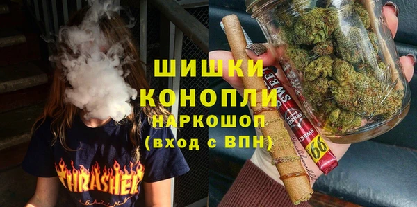 хмурый Верея