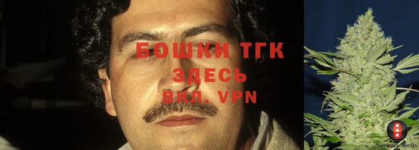 хмурый Верея
