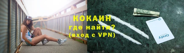 хмурый Верея