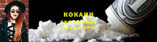хмурый Верея