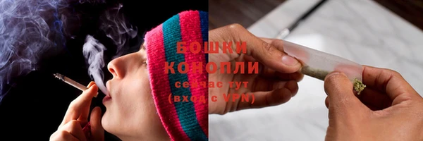 хмурый Верея