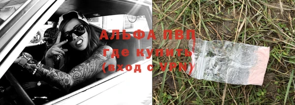 хмурый Верея