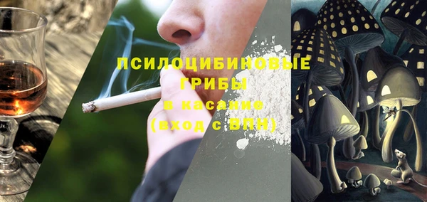хмурый Верея