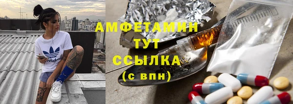 хмурый Верея