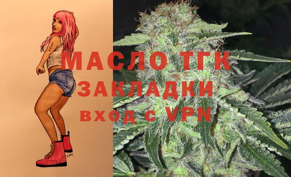 хмурый Верея