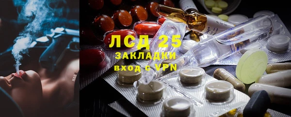 хмурый Верея