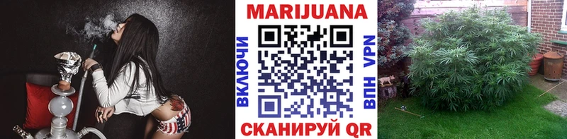 Купить  Лакинск  Бошки Шишки ГИДРОПОН 